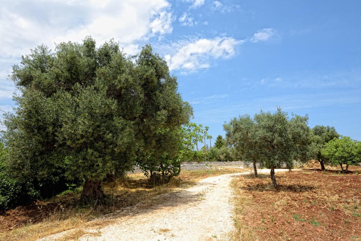 Villa Giorgia Monopoli Exteriér fotografie